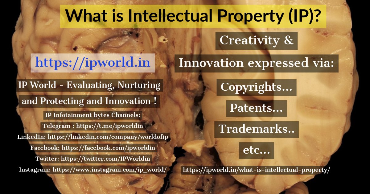 What is Intellectual Property ?